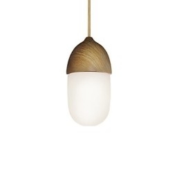 Mini Acorn Pendant Lamp 1 Light Mordern Simplicity Golden Chrome Wooden Color Finish Carbon Steel & Glass Droplight