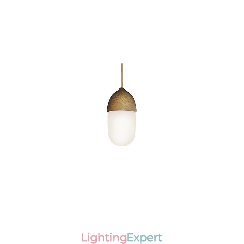 Mini Acorn Pendant Lamp 1 Light Mordern Simplicity Golden Chrome Wooden Color Finish Carbon Steel & Glass Droplight