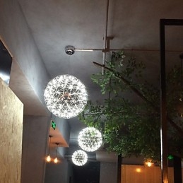 Contemporary Chandelier Creative Round Droplight Lamp Light