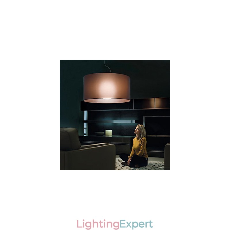 Classic Style Iron Flush Mount Light with Shade