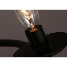Modern Contemporary Decorative Design Pendant Light(Does Not Include Plants)