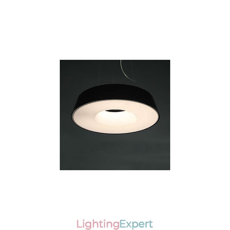 5Modern Contemporary Painting Metal Pendant Light