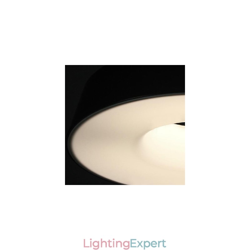 5Modern Contemporary Painting Metal Pendant Light