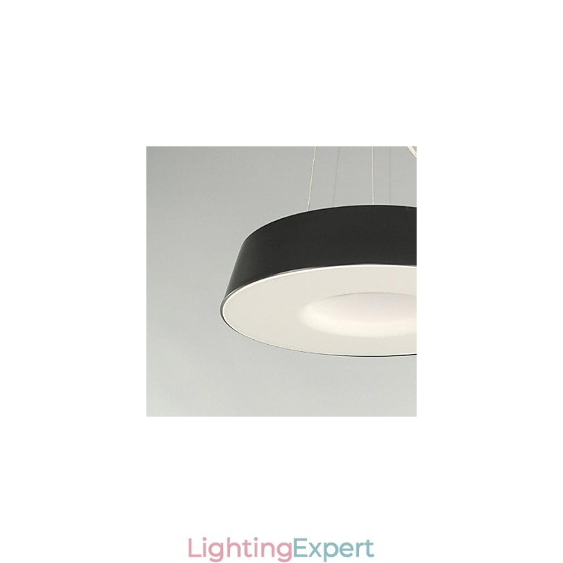 5Modern Contemporary Painting Metal Pendant Light