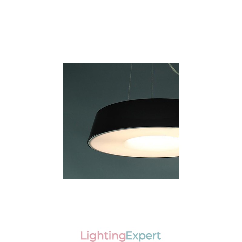 5Modern Contemporary Painting Metal Pendant Light