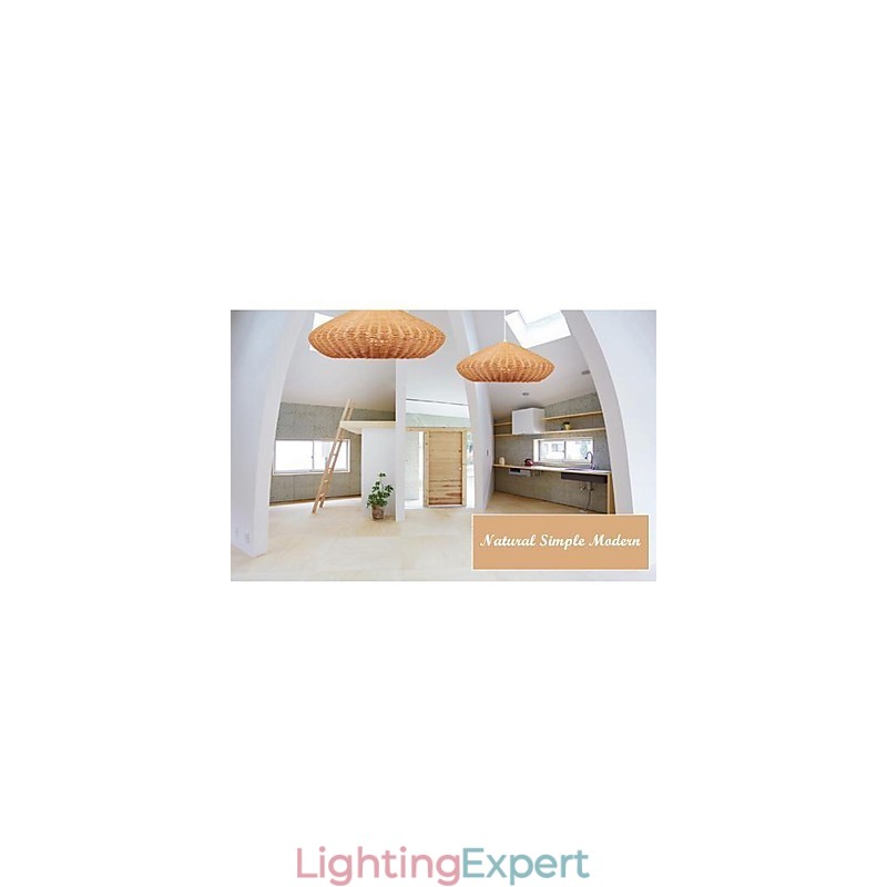 Modern Contemporary Country Metal Pendant Light
