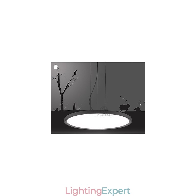 Pendant Light