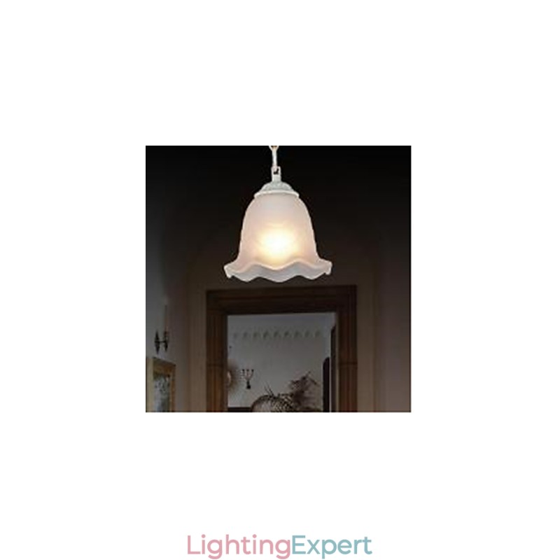 Traditional Classic Vintage Retro Painting Metal Pendant Light
