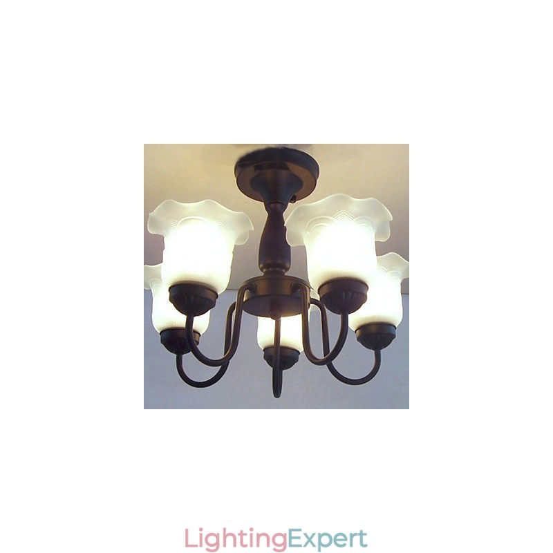 Traditional Classic Painting Metal Chandelier