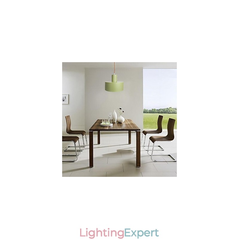 Modern Contemporary Country Mini Style Painting Metal Pendant Light Kids