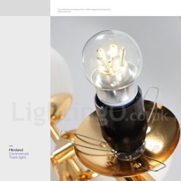 24 Light Modern Contemporary Chandelier with Glass Shade Light