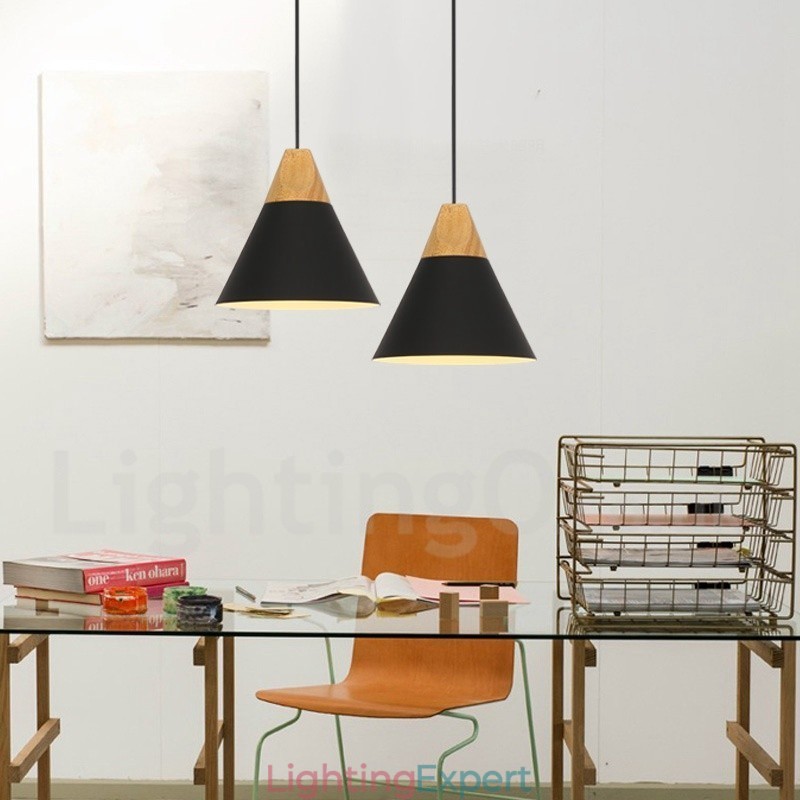 Modern Contemporary 1 Light Pendant Light