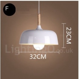 Modern Contemporary 1 Light Pendant Light