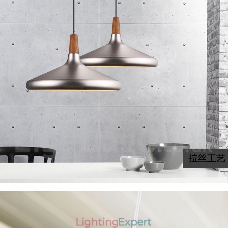 Modern Contemporary Metal 1 Light Pendant Light