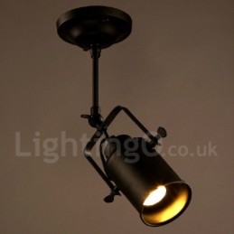 Rustic Lodge 1 Light Spot Lights
