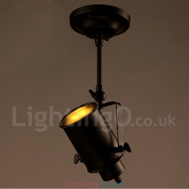 Rustic Lodge 1 Light Spot Lights