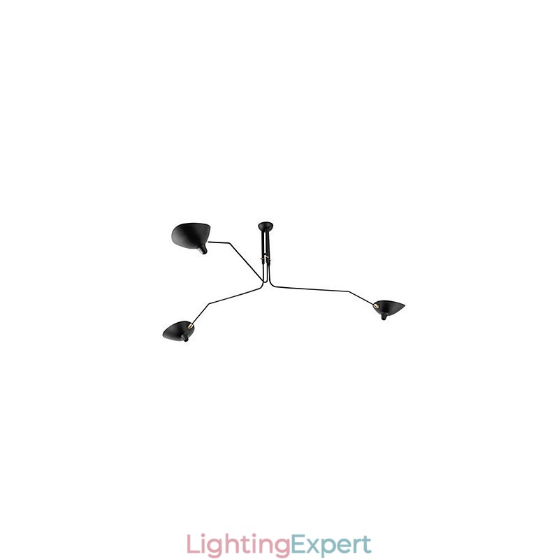 Modern Contemporary Painting Feature for Designers Metal Chandelier