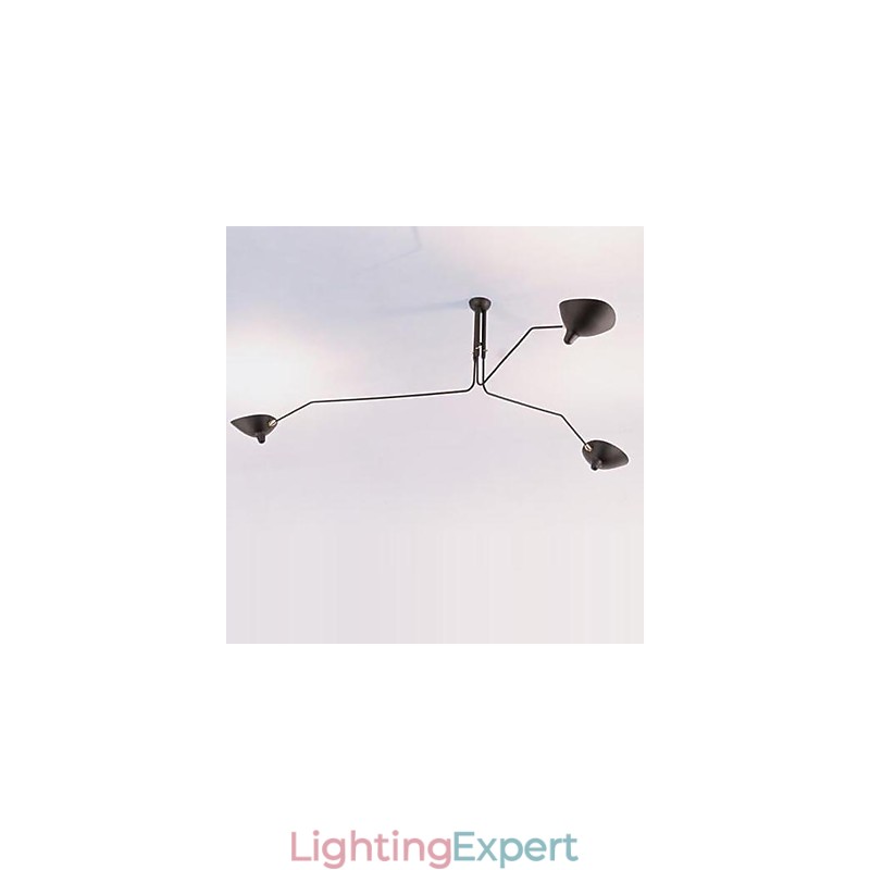 Modern Contemporary Painting Feature for Designers Metal Chandelier