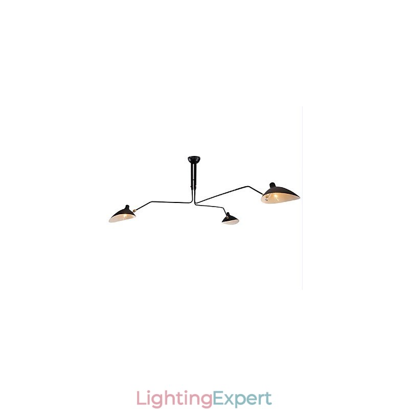 Modern Contemporary Painting Feature for Designers Metal Chandelier