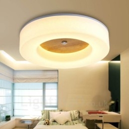Modern Contemporary Nordic style Flush Mount Ceiling Lights with Acrylic Shade