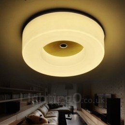 Modern Contemporary Nordic style Flush Mount Ceiling Lights with Acrylic Shade