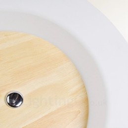 Modern Contemporary Nordic style Flush Mount Ceiling Lights with Acrylic Shade