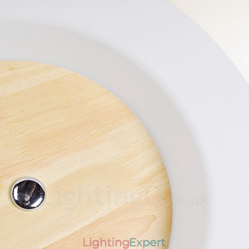 Modern Contemporary Nordic style Flush Mount Ceiling Lights with Acrylic Shade
