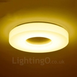 Modern Contemporary Flush Mount Ceiling Lights with Acrylic Shade