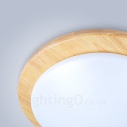 Modern Contemporary Flush Mount Ceiling Lights with Acrylic Shade