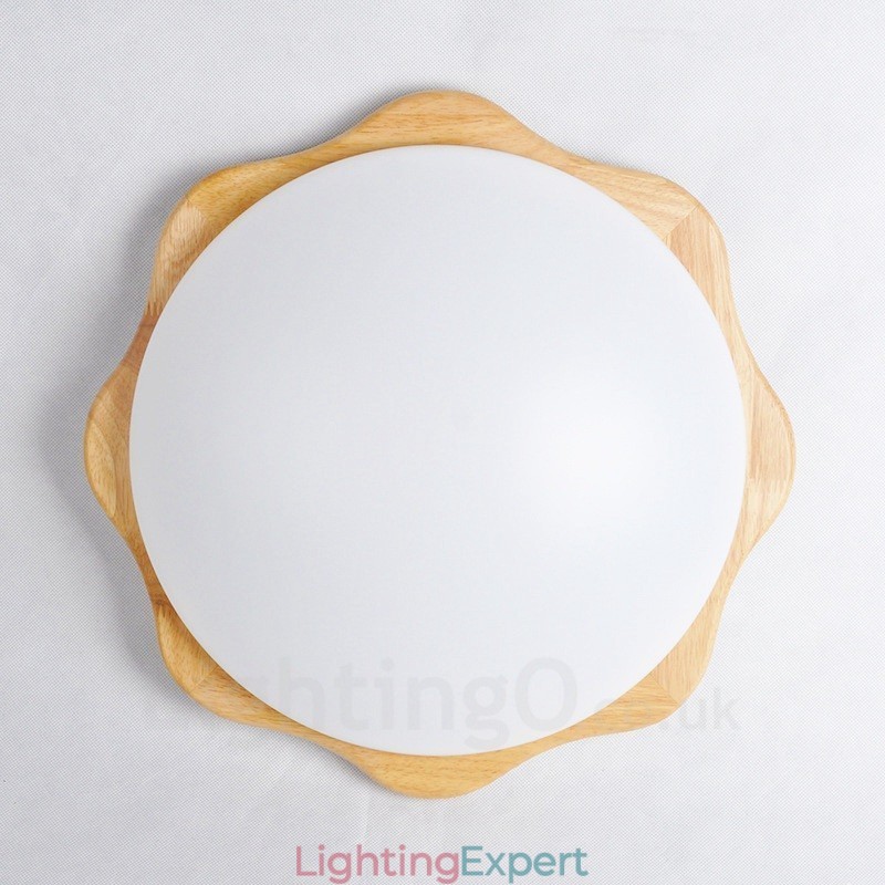 Modern Contemporary Flush Mount Ceiling Lights with Acrylic Shade