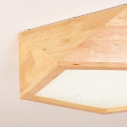 Modern Contemporary Nordic style Flush Mount Ceiling Lights with Acrylic Shade