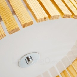 Modern Contemporary Flush Mount Ceiling Lights with Acrylic Shade