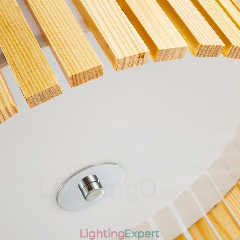 Modern Contemporary Flush Mount Ceiling Lights with Acrylic Shade