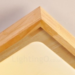 Modern Contemporary Flush Mount Ceiling Lights with Acrylic Shade