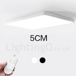 Dimmable Modern Contemporary Nordic Style Flush Mount Ceiling Lights with Acrylic Shade with Remote Control