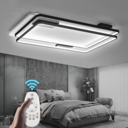 Modern Exquisite Flush Mount Ceiling Lights with Acrylic Shade Lamp