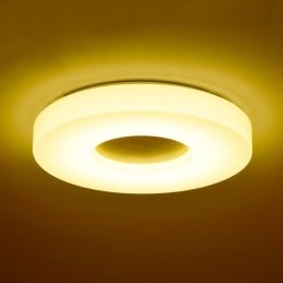 Dimmable Ultra thin Round Wood Ceiling Light with Acrylic Shade Ceiling Lamp Nordic Style