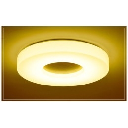 Dimmable Ultra thin Round Wood Ceiling Light with Acrylic Shade Ceiling Lamp Nordic Style