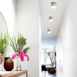 Wood Modern Design Mini Ceiling Light with Acrylic Shade Special for Also Can be Used as Wall Light