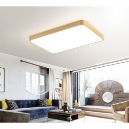 Ultra Thin Rectangle Dimmable Modern Contemporary Nordic Style Flush Mount Brass Ceiling Lights with Acrylic Shade Also Can Be Used As Wall Light