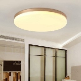 Ultra Thin Round Dimmable Modern Contemporary Nordic Style Flush Mount Ceiling Lights with Acrylic Shade Also Can Be Used As Wall Light