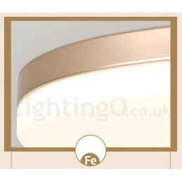 Ultra Thin Round Dimmable Modern Contemporary Nordic Style Flush Mount Ceiling Lights with Acrylic Shade Also Can Be Used As Wall Light