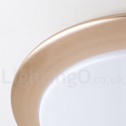 4CM Thick Super Thin Dimmable Modern Contemporary Nordic Style Flush Mount Ceiling Lights with Acrylic Shade with Remote Control Also Can Be Used As Wall Light