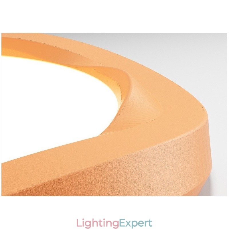 Dimmable Full Spectrum Eye Protection Multi Colours Modern Flush Mount Ceiling Light Indoor Lighting Fixtures