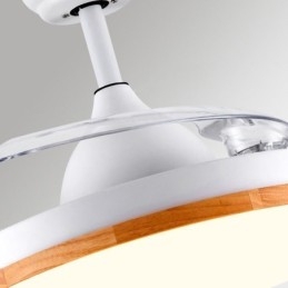 Modern Inverter Ceiling Fan Light Remote Control Ceiling Lamp Tricolor Dimming