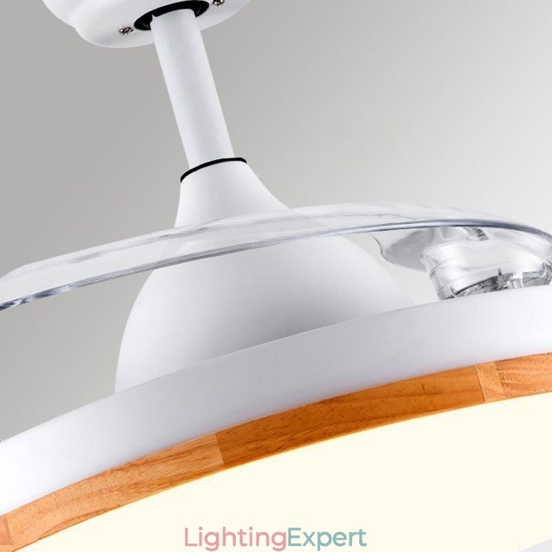 Modern Inverter Ceiling Fan Light Remote Control Ceiling Lamp Tricolor Dimming