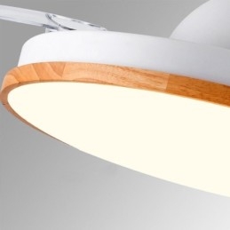 Modern Inverter Ceiling Fan Light Remote Control Ceiling Lamp Tricolor Dimming