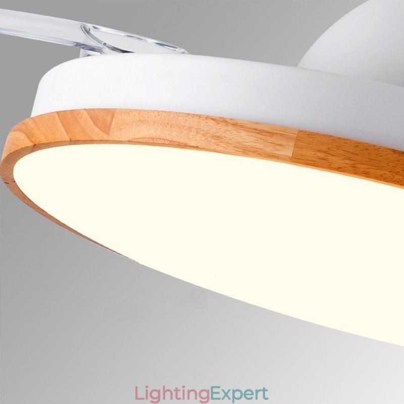 Modern Inverter Ceiling Fan Light Remote Control Ceiling Lamp Tricolor Dimming