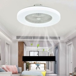 Fan Ceiling Light Trichromatic Dimming 3 Speed Remote Control