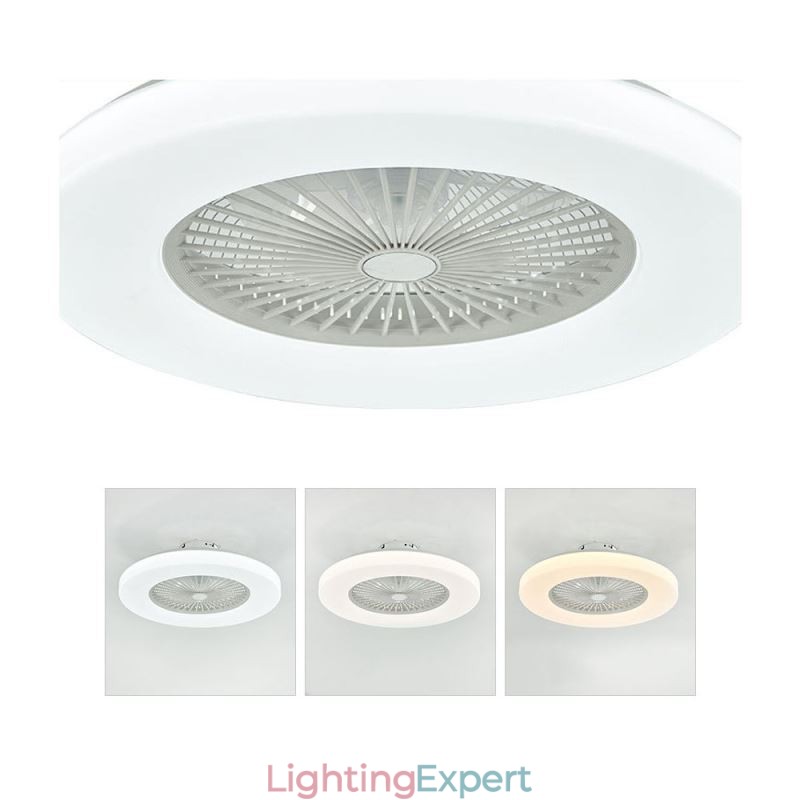 Fan Ceiling Light Trichromatic Dimming 3 Speed Remote Control